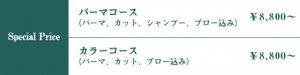 az-price1