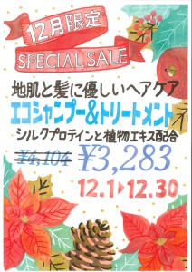 12限定-SPECIAL-SALE