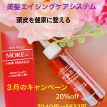 モアプラス20%OFF